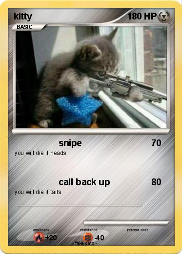 Pokemon kitty