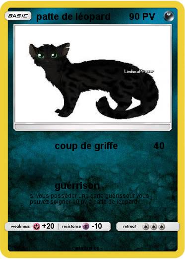 Pokemon patte de léopard