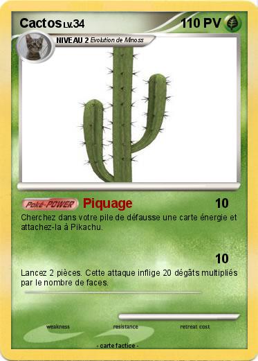 Pokemon Cactos