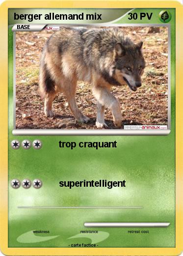 Pokemon berger allemand mix
