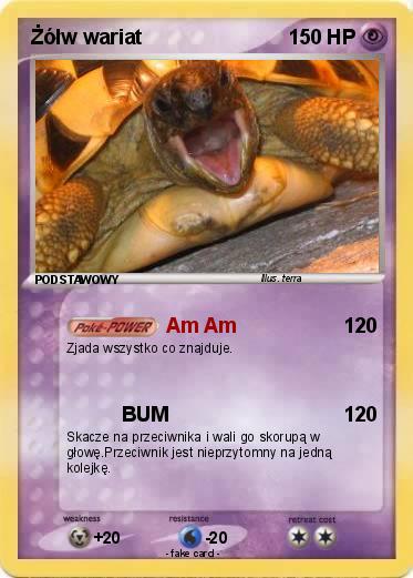 Pokemon Żółw wariat