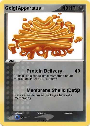 Pokemon Golgi Apparatus