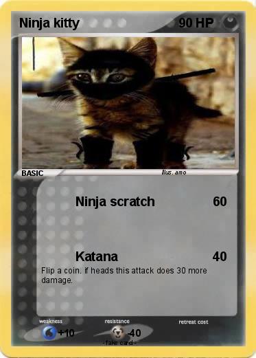 Pokemon Ninja kitty