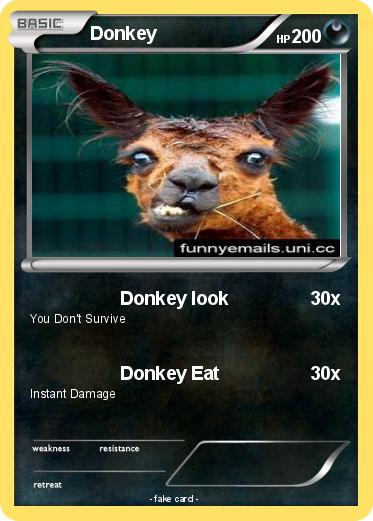 Pokemon Donkey