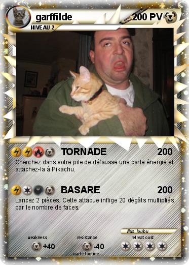 Pokemon garffilde