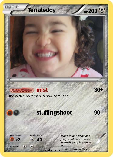 Pokemon Terrateddy
