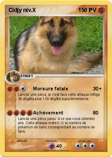 Pokemon Cidjy niv.X