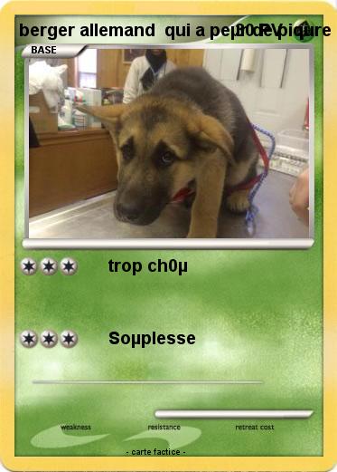 Pokemon berger allemand  qui a peµr de piqure