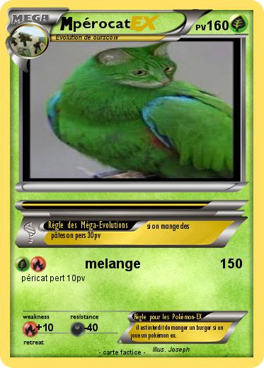 Pokemon pérocat
