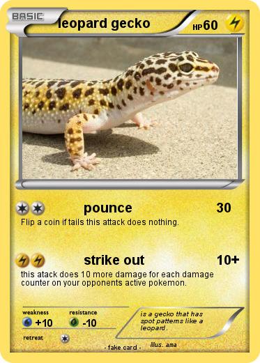 Pokemon leopard gecko