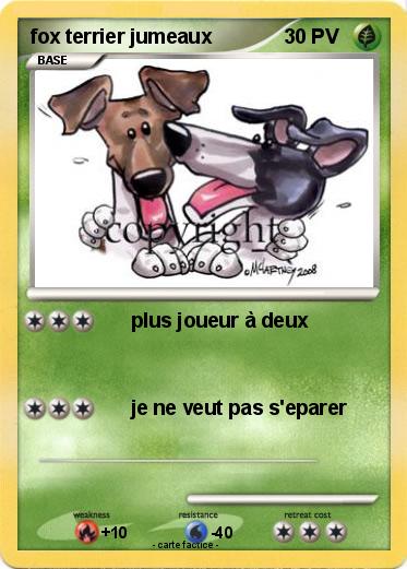 Pokemon fox terrier jumeaux