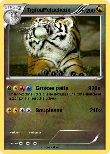 Pokemon TigrouPelucheux