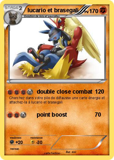 Pokemon lucario et brasegali