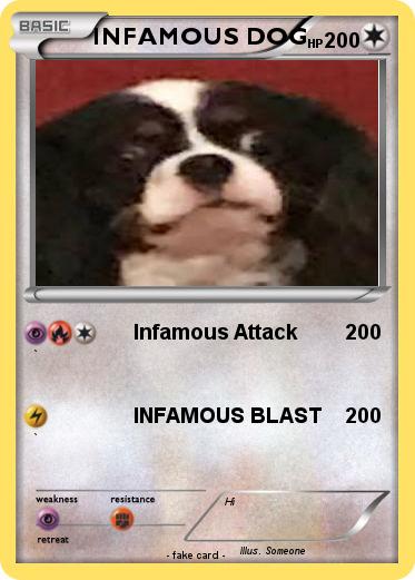 Pokemon INFAMOUS DOG