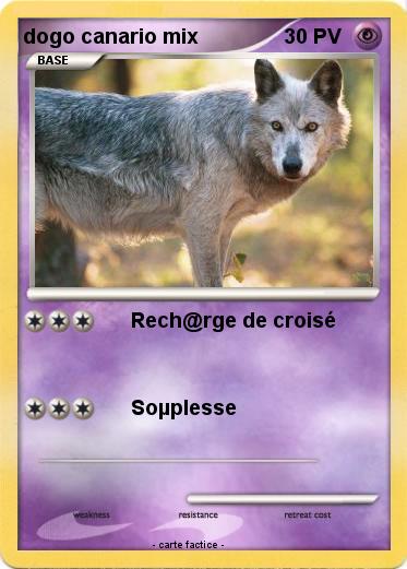 Pokemon dogo canario mix