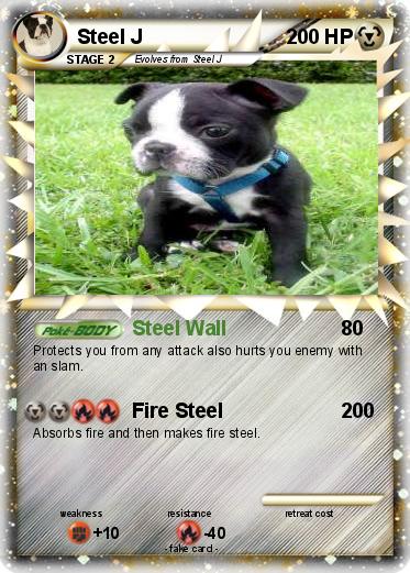 Pokemon Steel J