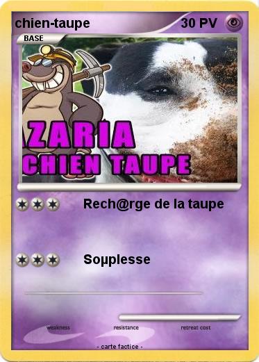Pokemon chien-taupe