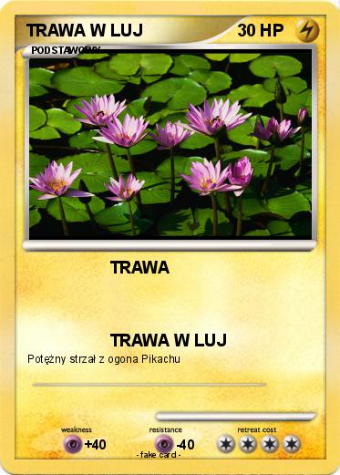 Pokemon TRAWA W LUJ