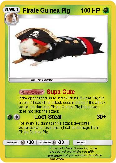 Pokemon Pirate Guinea Pig