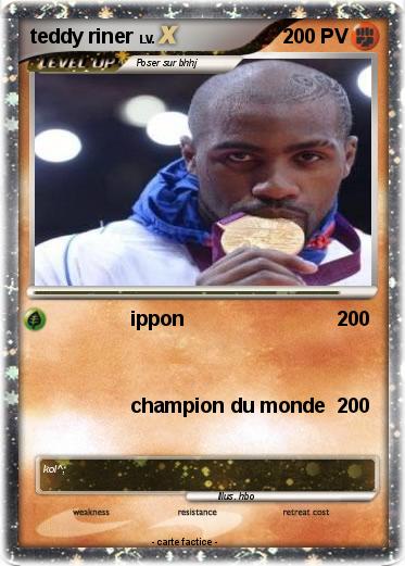 Pokemon teddy riner