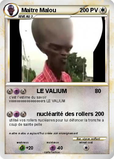 Pokemon Maitre Malou