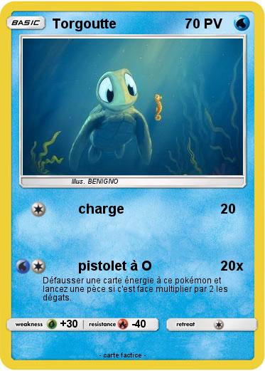 Pokemon Torgoutte