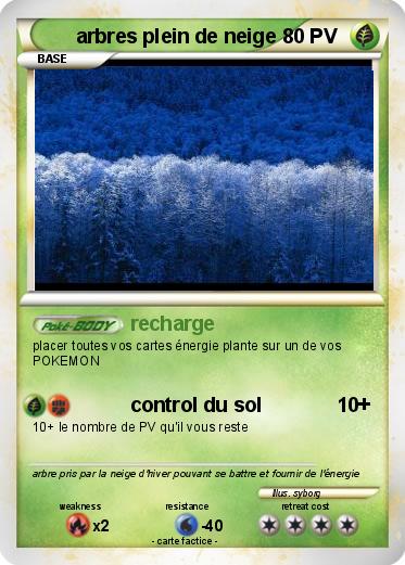 Pokemon arbres plein de neige