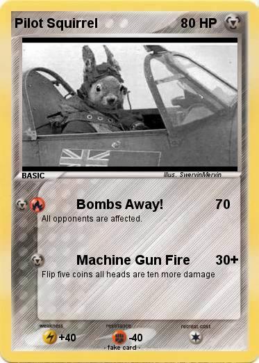 Pokemon Pilot Squirrel