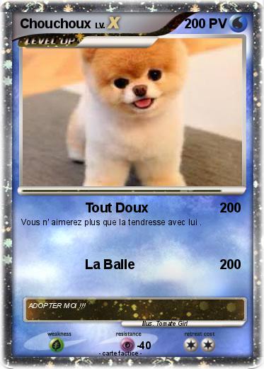 Pokemon Chouchoux