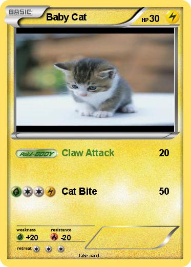 Pokemon Baby Cat