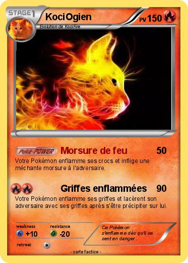 Pokemon KociOgien