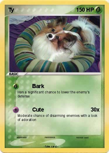 Pokemon Ty