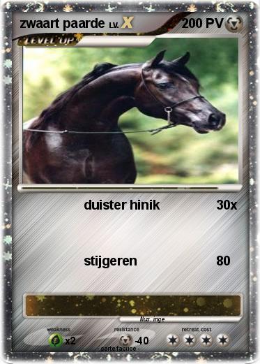 Pokemon zwaart paarde