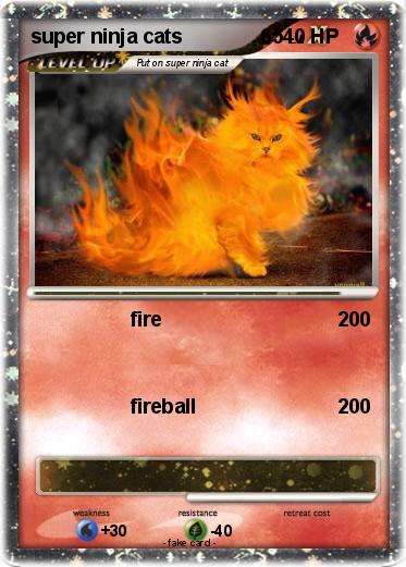 Pokemon super ninja cats              65