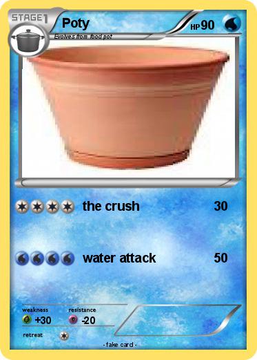 Pokemon Poty