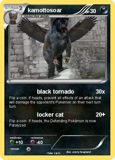 Pokemon kamottosoar