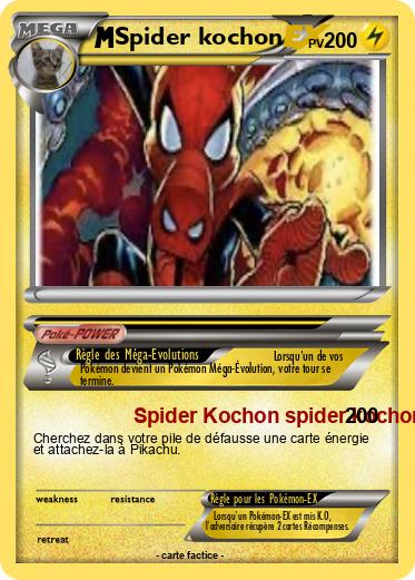 Pokemon Spider kochon