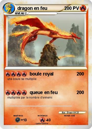 Pokemon dragon en feu