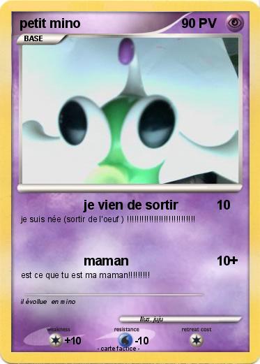 Pokemon petit mino