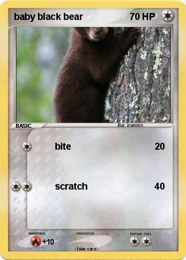 Pokemon baby black bear