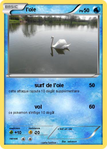 Pokemon l'oie