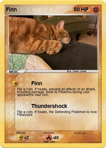 Pokemon Finn