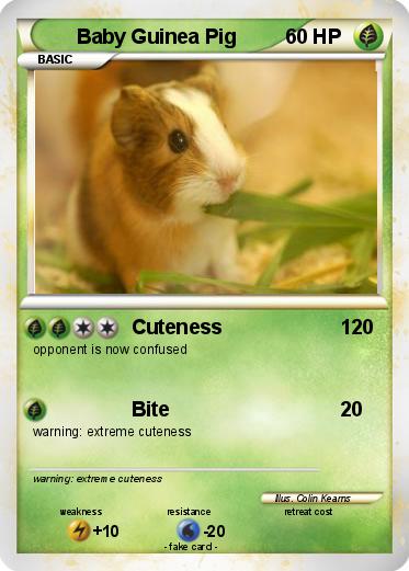 Pokemon Baby Guinea Pig