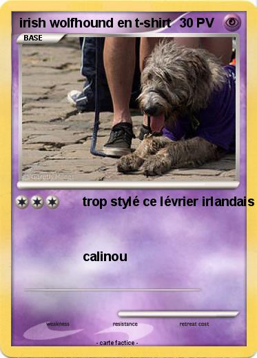 Pokemon irish wolfhound en t-shirt