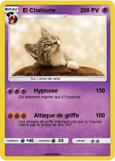 Pokemon El Chatoune
