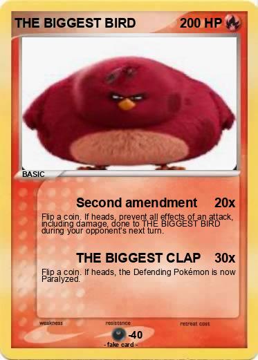 Pokemon THE BIGGEST BIRD