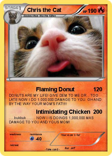 Pokemon Chris the Cat