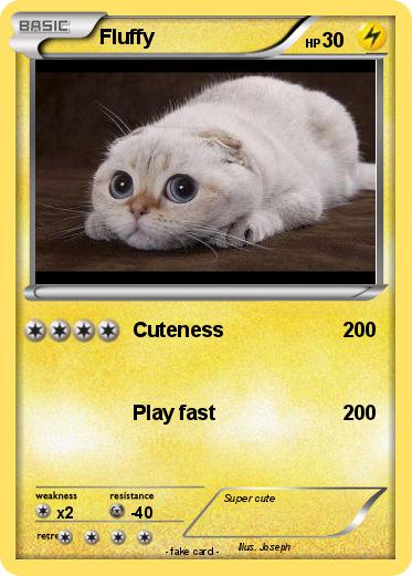 Pokemon Fluffy