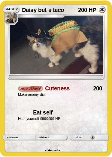 Pokemon Daisy but a taco