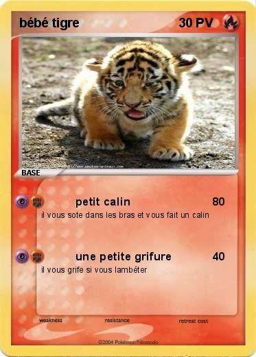 Pokemon bébé tigre
